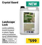 Crystal Guard Landscape Lock