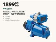 Agrinet Pascali Pressure Jet Pump + Flow Switch-Each