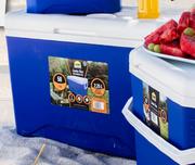 Camp Master 50Litre Cooler Box