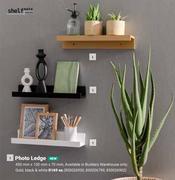 Shelfmate Photo Ledge-Each 