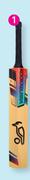 Cricket Starter Set Size 3-6