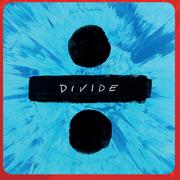 Divide Vinyl