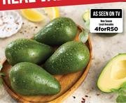 New Season Local Avocados-For 4