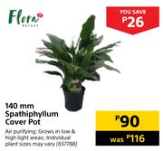 Flora 140mm Spathiphyllum Cover Pot