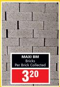 Maxi BM Bricks-Per Brick Collected