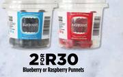 Blueberry Punnets-For 2