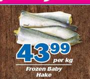 Frozen Baby Hake-Per Kg