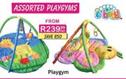 Assorted Playgyms Each