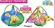 Baby Playgym - Each