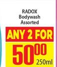 Radox Bodywash Assorted-For Any 2 x 250ml