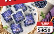 Blueberry Punnets-For 5 x 125g