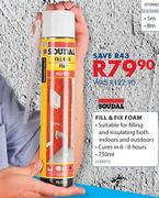 Fill & Fix Foam-750ml