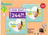 Pampers Premium Care Nappies Sizes 1-6-For 1 Per Pack