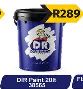 DIR Paint 38565-20L