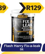 Flash Harry Fix A Leak-5L