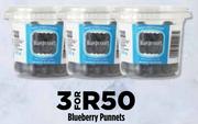 Blueberry Punnets-For 3