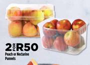 Peach or Nectarine Punnets-For 2