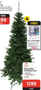 Rocky Pine Christmas Tree With Free 14.5m LED Lights