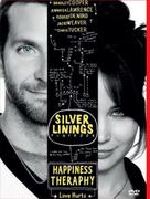Silver Linings Happiness Theraphy DVD