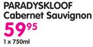 Paradyskloof Cabernet Sauvignon-750ml