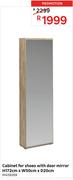 Cabinet For Shoes With Door Mirror H172cm x W50cm x D20cm