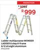 Wonder Ladder Multipurpose Ladder 6 Step A Frame & 12 Straight (Aluminium)