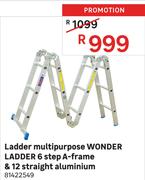 Wonder Ladder Multipurpose Ladder 6 Step A Frame & 12 Straight (Aluminium)