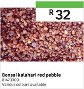 Bonsai Kalahari Red Pebble 81473300