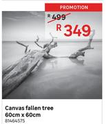 Canvas Fallen Tree 60cm x 60cm