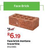 Montana Face Brick Travertine 81423884