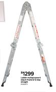 Ladder Multipurpose 6 Step A-Frame & 12 Step Straight 81480873