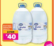 Great Value Natural Still Water-For 2 x 5L