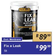 Flash Harry Fix A Leak-5L