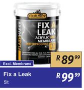 Flash Harry Fix A Leak-5L