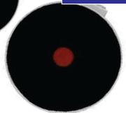 Stove Plate Solid 1500W 34779