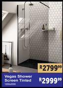 Vegas Shower Screen Tinted 1200 x 2000