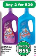 Mr Muscle Tile Cleaner-2 x 750ml