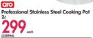 Aro 2L Professional Stainless Cooking Pot