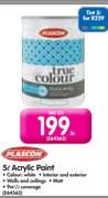 Plascon 5Ltr Acrylic Paint