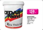 Cedar Paint Acrylic Paint-20L