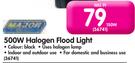 500W Halogen Flood Light 