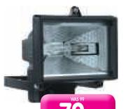 150W Halogen Flood Light 