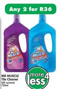 Mr Muscle Tile Cleaner(All Variants)-2x750ml