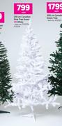 210cm Canadian Pine Tree Green Or White-Each