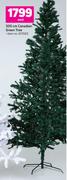 300cm Canadian Green Tree-Each
