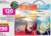 Two Oceans Sauvignon Blanc Or Cabernet Sauvignon Merlot-3 Ltr Each