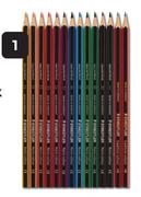 Staedtler Colour Pencils 12 Pack Plus 2 HB Pencils-Per Pack