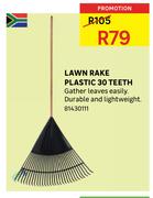 Lawn Rake Plastic 30 Teeth