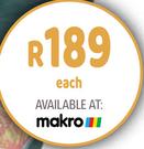 [MAKRO] Camp Master Printed T-Shirts-Each