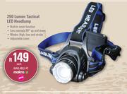 [GAME]- Campmaster 250 Lumen Tactical LED Headlamp-Each
